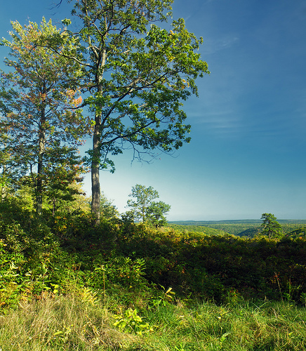 marcellus-pennsylvania