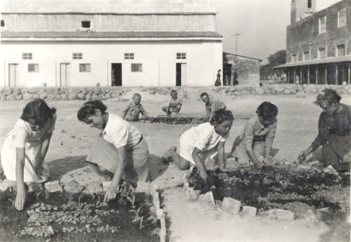 hacienda_garden