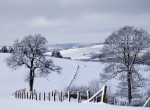 winter-landscape-623606_960_720